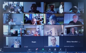 Statutory meetings via videoconference